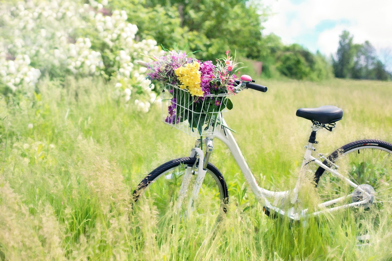 The Role of Bicycle Commuting in Sustainable Living
